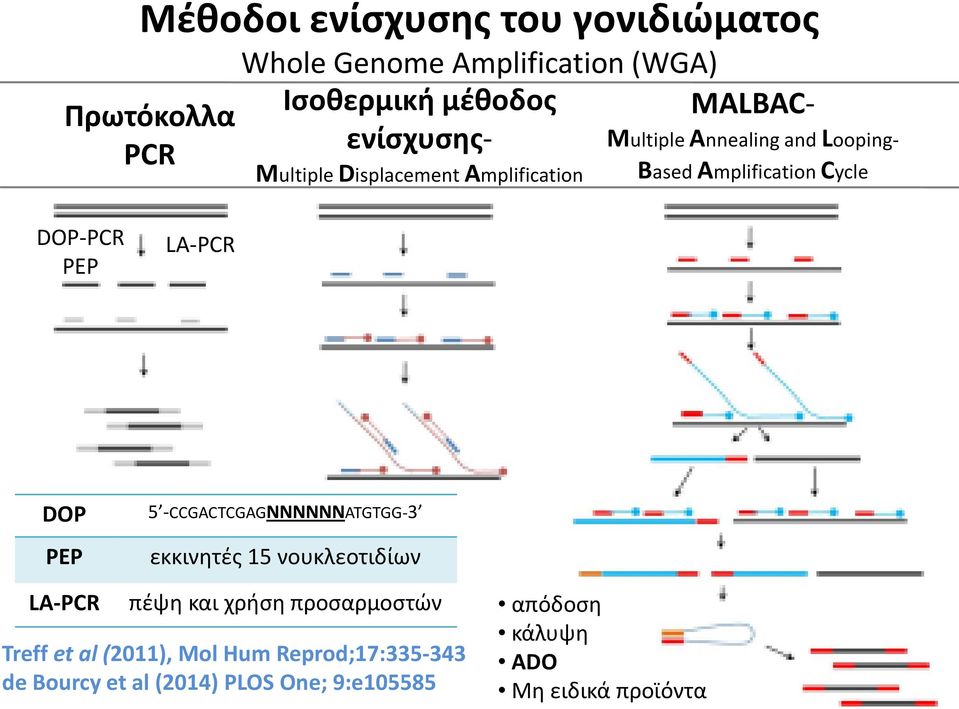 LA-PCR DOP PEP 5 -CCGACTCGAGNNNNNNATGTGG-3 εκκινητές 15 νουκλεοτιδίων LA-PCR πέψη και χρήση προσαρμοστών Treff et