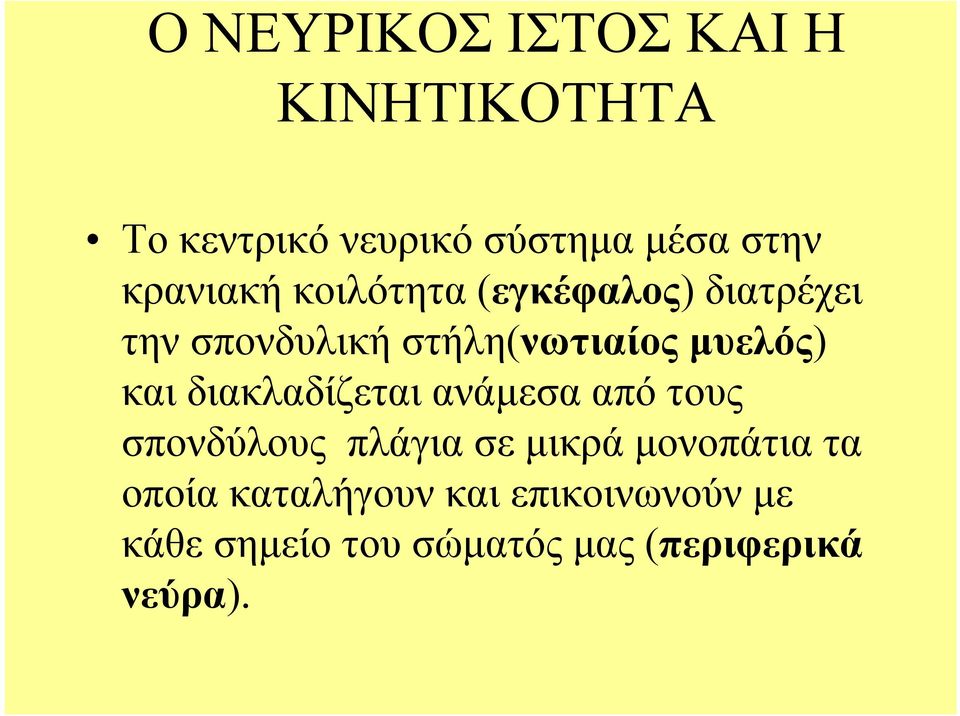 μυελός) και διακλαδίζεται ανάμεσα από τους σπονδύλους πλάγια σε μικρά