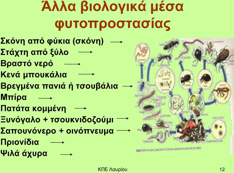 ή τσουβάλια Μπίρα Πατάτα κομμένη Ξυνόγαλο + τσουκνιδοζούμι