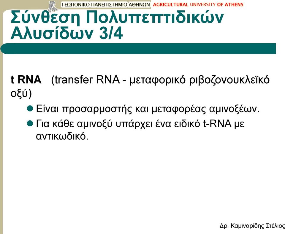 Είναι προσαρμοστής και μεταφορέας αμινοξέων.