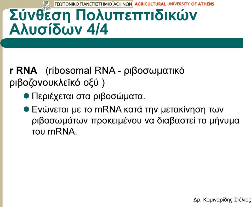 ριβοσώματα.