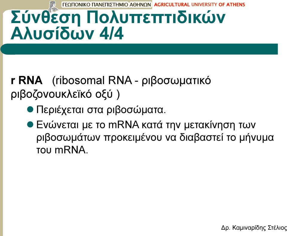 ριβοσώματα.