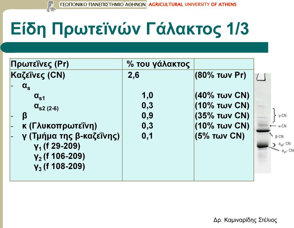 γ 2 (f 106-209) γ 3 (f 108-209) % του γάλακτος 2,6 1,0 0,3 0,9 0,3 0,1