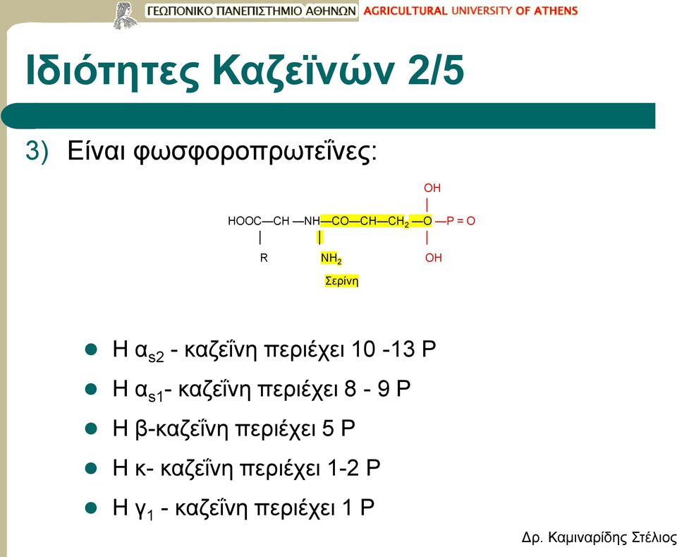 περιέχει 10-13 P Η α s1 - καζεΐνη περιέχει 8-9 P Η β-καζεΐνη