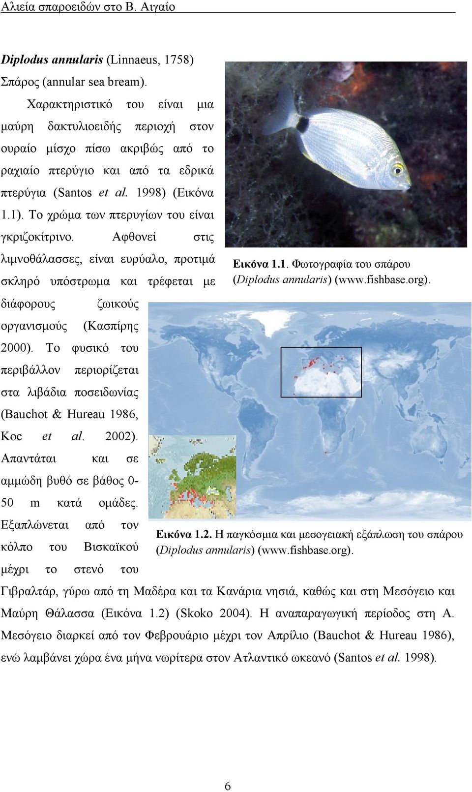 Τo χρώµα των πτερυγίων του είναι γκριζοκίτρινο. Αφθονεί στις λιµνοθάλασσες, είναι ευρύαλο, προτιµά σκληρό υπόστρωµα και τρέφεται µε διάφορους οργανισµούς ζωικούς (Κασπίρης 2000).