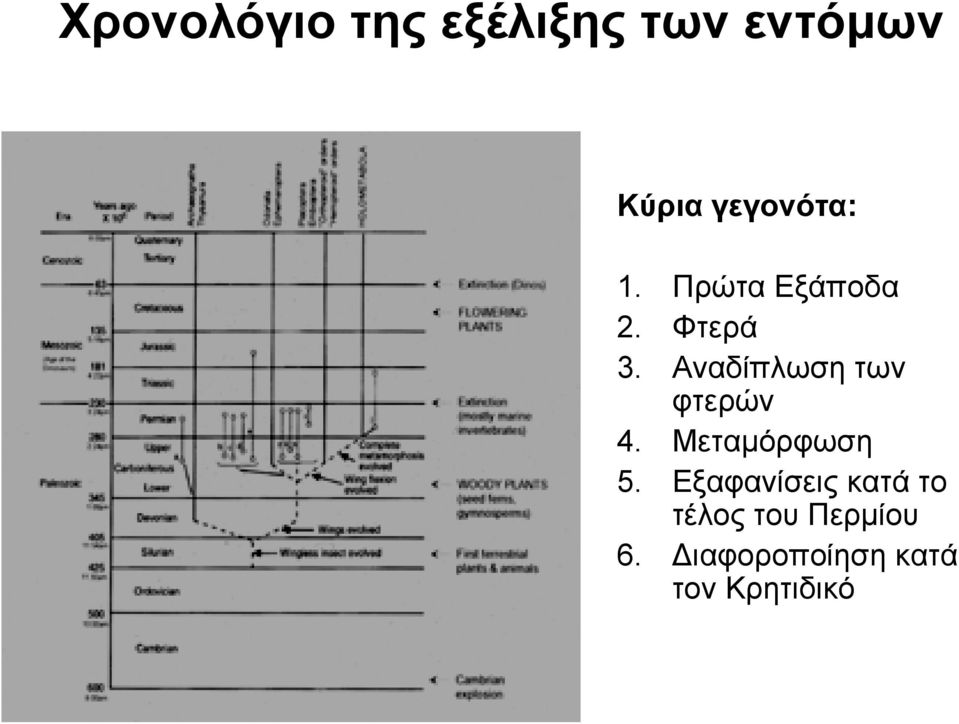 Αναδίπλωση των φτερών 4. Μεταμόρφωση 5.