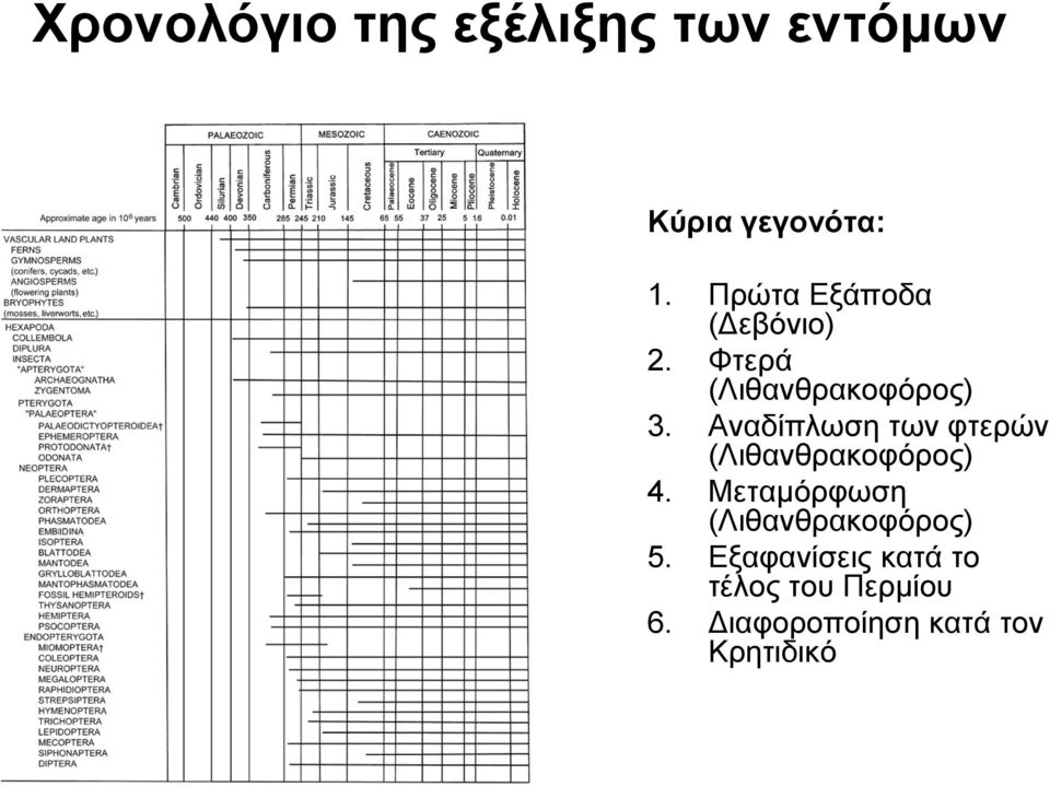 Αναδίπλωση των φτερών (Λιθανθρακοφόρος) 4.