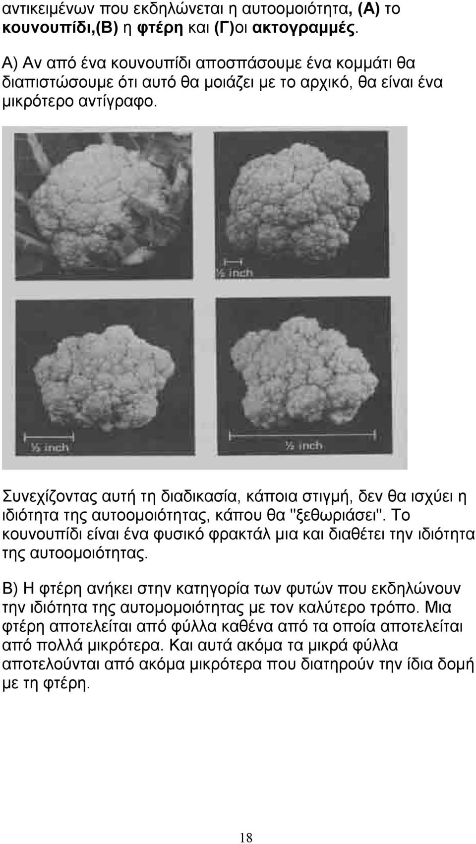 Συνεχίζοντας αυτή τη διαδικασία, κάποια στιγμή, δεν θα ισχύει η ιδιότητα της αυτοομοιότητας, κάπου θα "ξεθωριάσει".