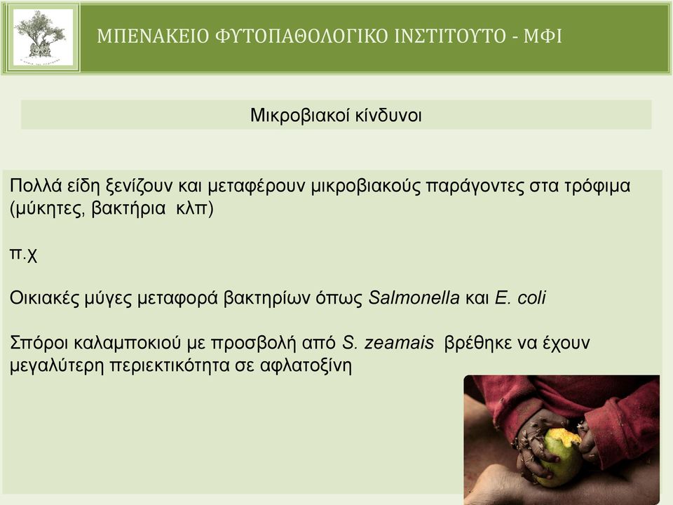 χ Οικιακές μύγες μεταφορά βακτηρίων όπως Salmonella και E.