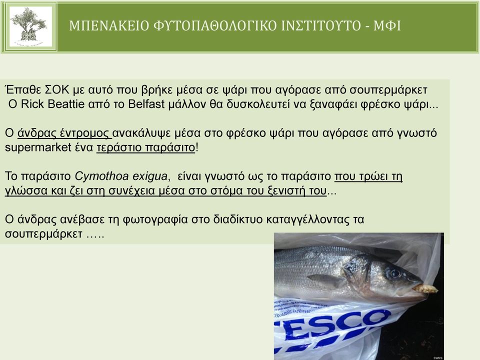 .. Ο άνδρας έντρομος ανακάλυψε μέσα στο φρέσκο ψάρι που αγόρασε από γνωστό supermarket ένα τεράστιο παράσιτο!