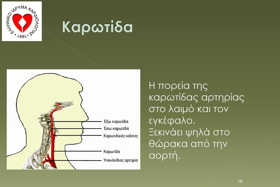 τον εγκέφαλο.