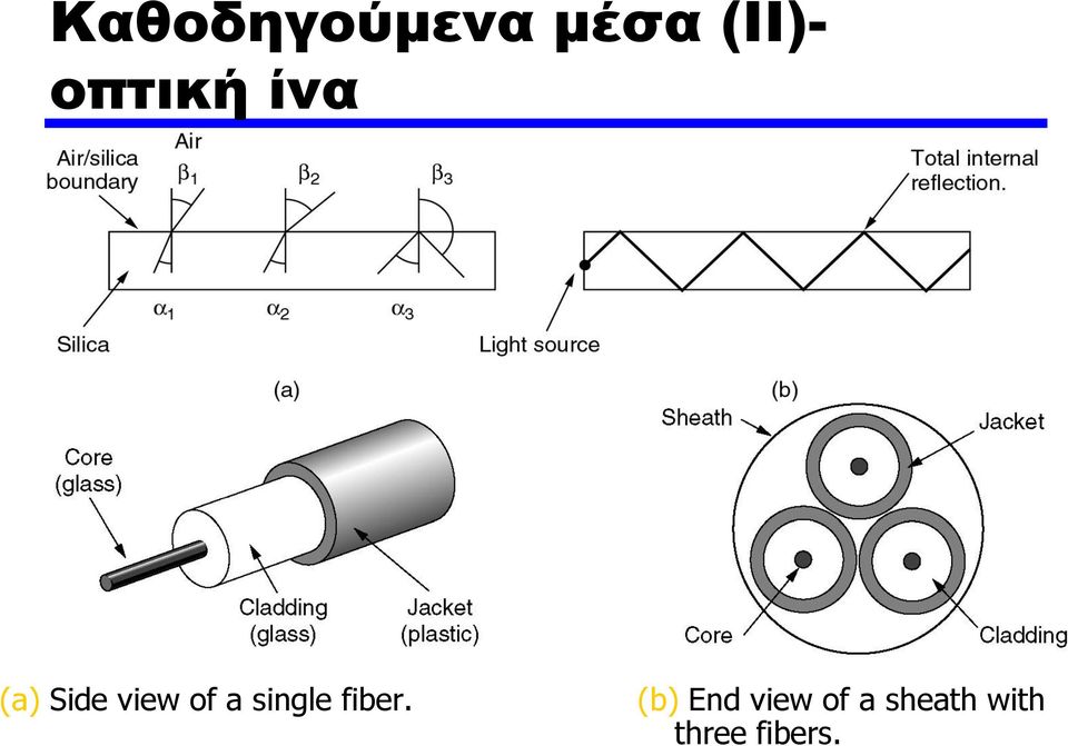 a single fiber.