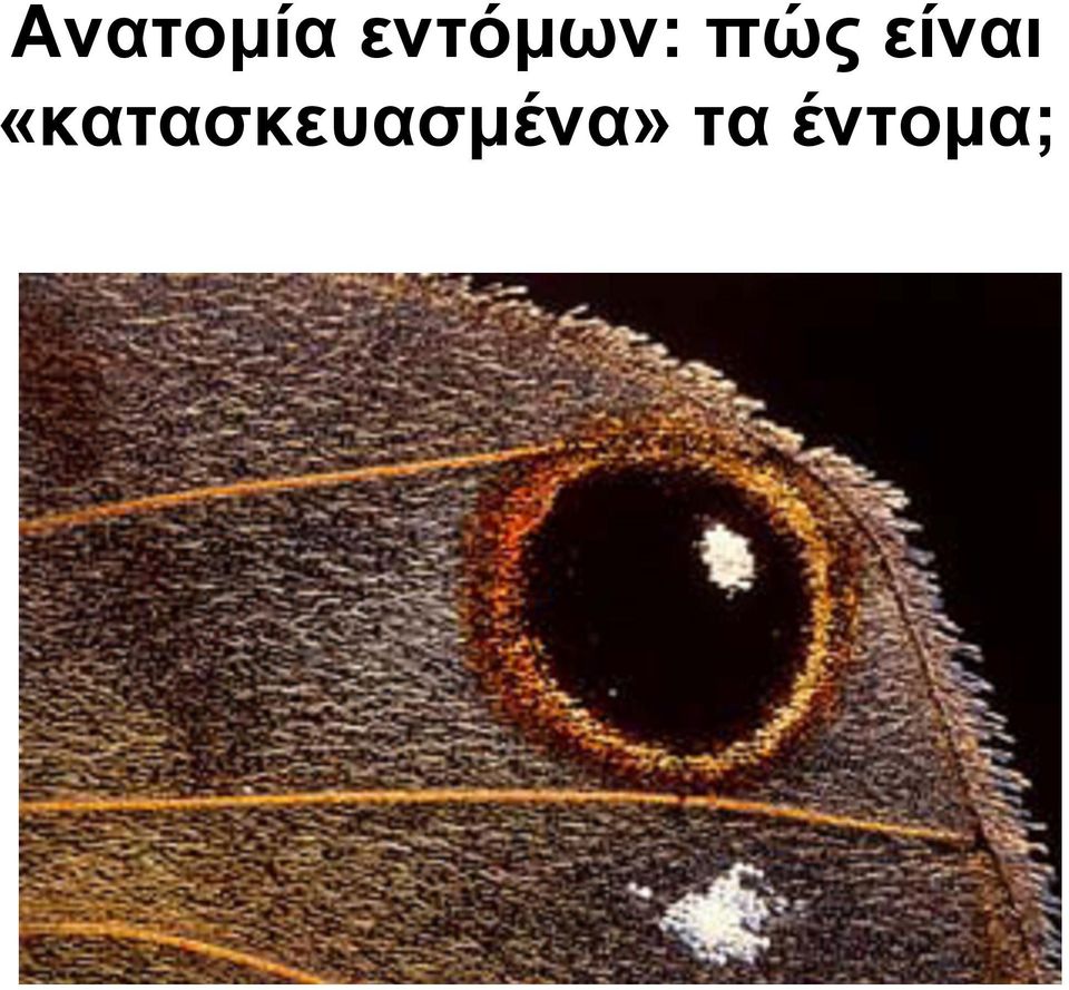 είναι