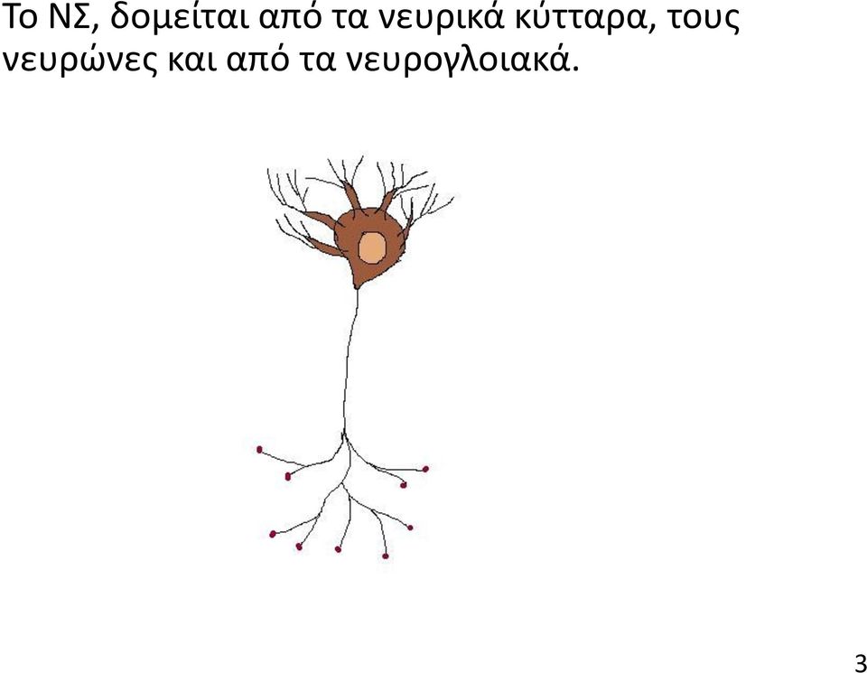 τους νευρώνες και
