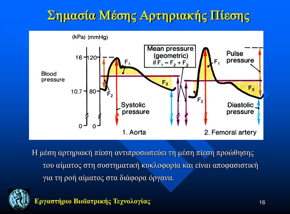 συστηματική κυκλοφορία και είναι αποφασιστική για τη ροή