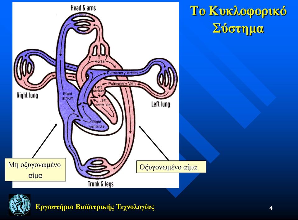 Οξυγονωμένο αίμα