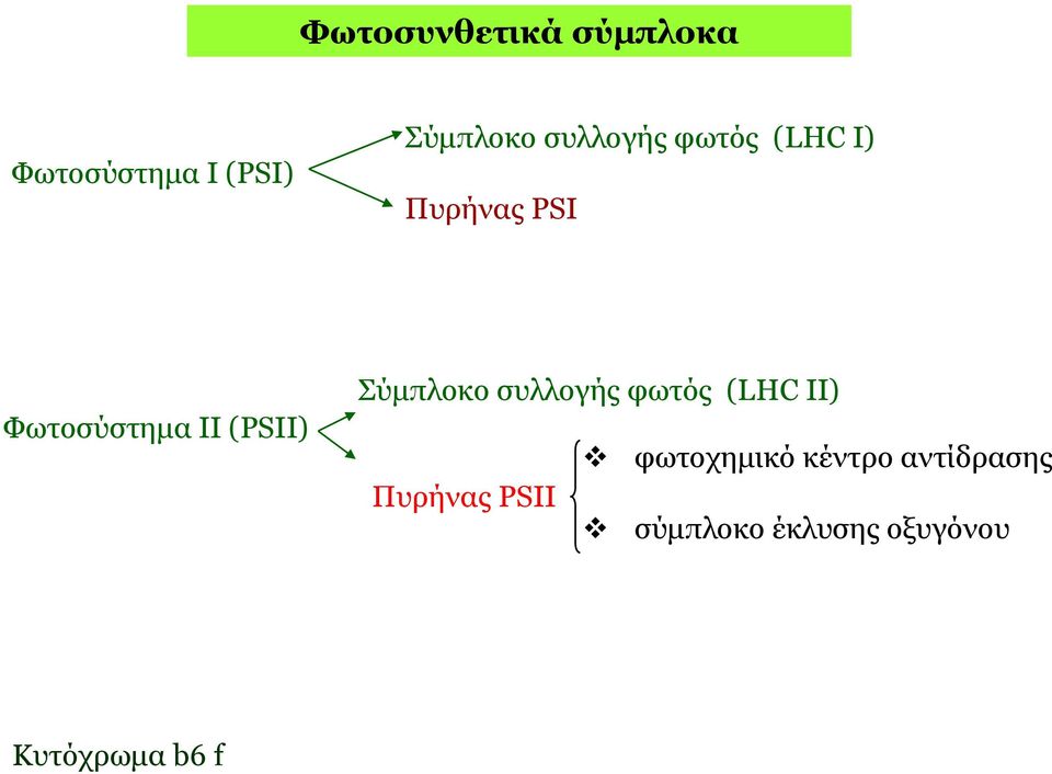 (PSII) Σύμπλοκο συλλογής φωτός (LHC II) φωτοχημικό