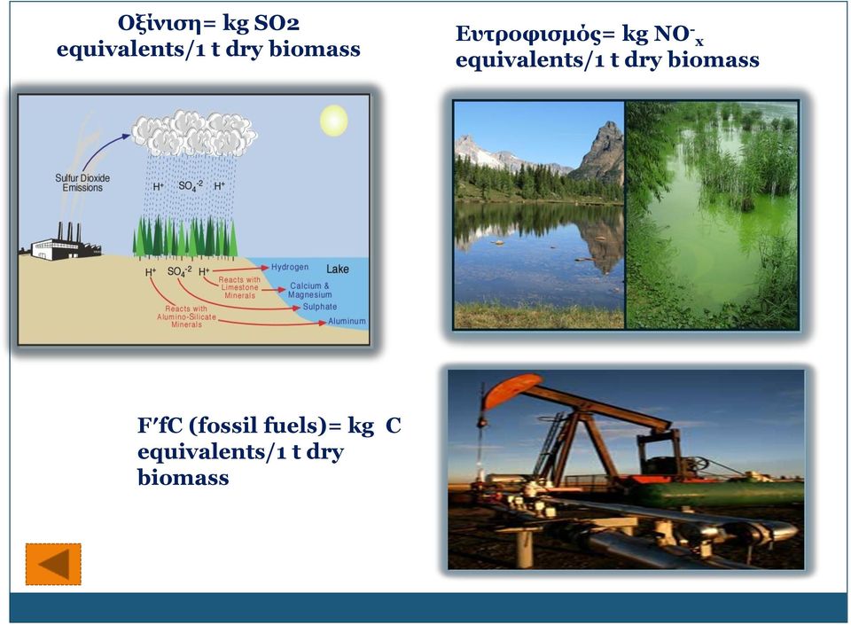 equivalents/1 t dry biomass F fc