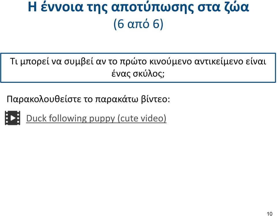 αντικείμενο είναι ένας σκύλος; Παρακολουθείστε