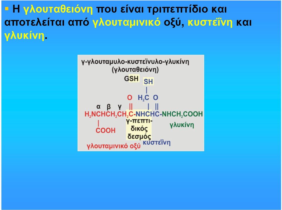 αποτελείται από