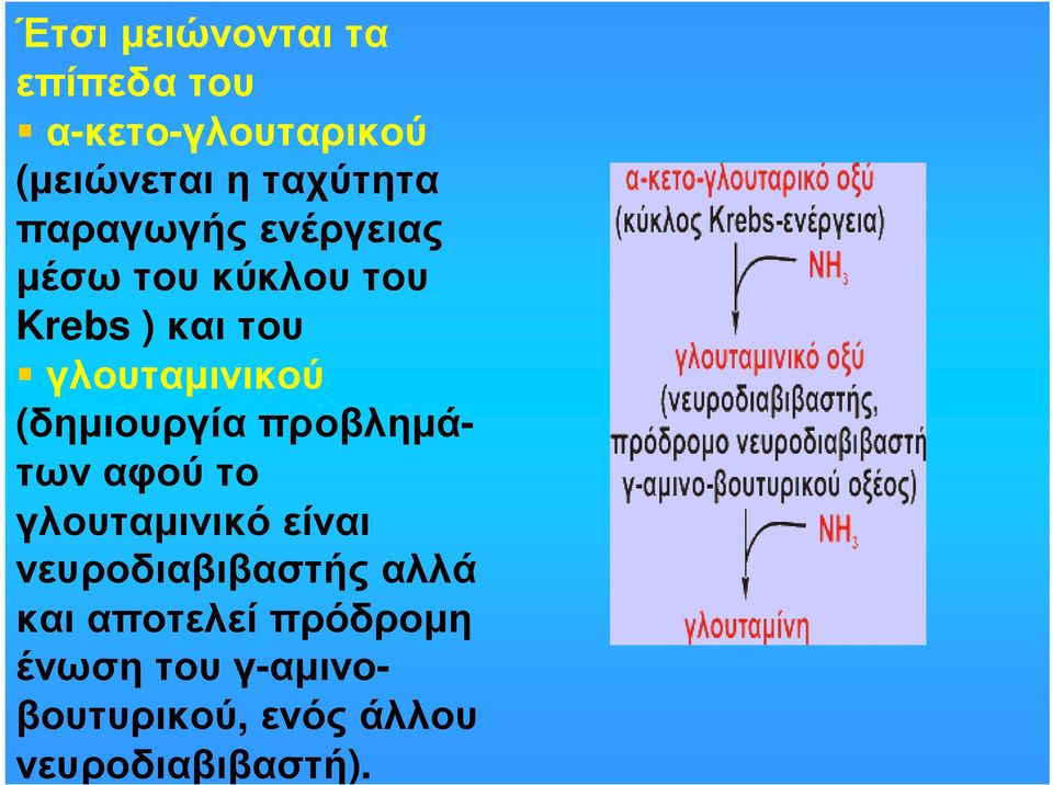 (δηµιουργία προβληµάτωναφούτο γλουταµινικό είναι νευροδιαβιβαστής αλλά