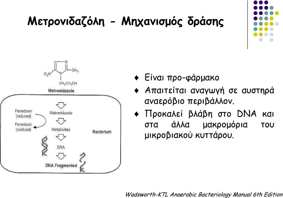 Προκαλεί βλάβη στο DNA και στα άλλα μακρομόρια του