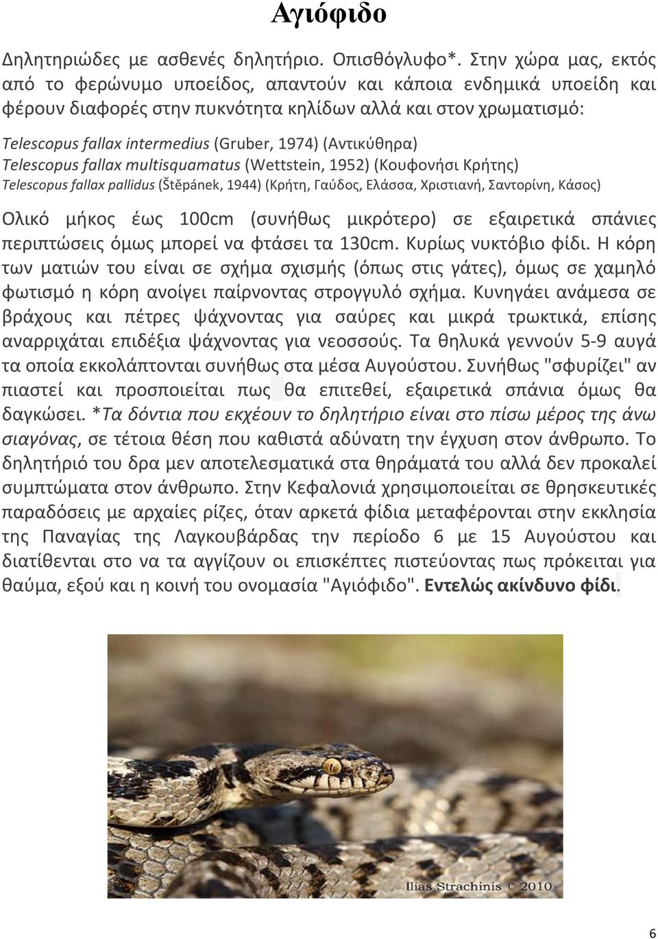 (Αντικύθηρα) Telescopus fallax multisquamatus (Wettstein, 1952) (Κουφονήσι Κρήτης) Telescopus fallax pallidus (Štěpánek, 1944) (Κρήτη, Γαύδος, Ελάσσα, Χριστιανή, Σαντορίνη, Κάσος) Ολικό μήκος έως