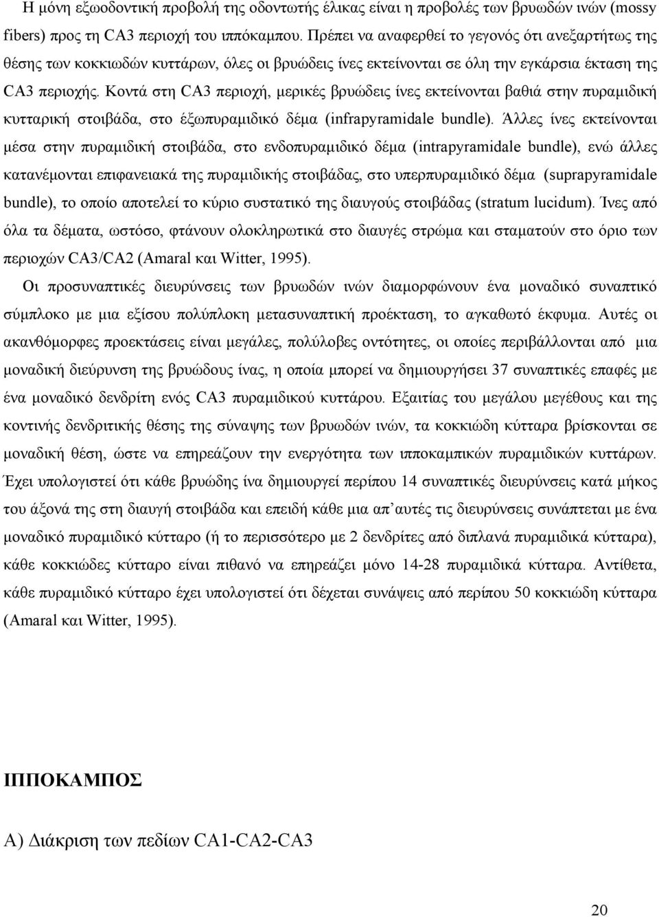 Κοντά στη CA3 περιοχή, μερικές βρυώδεις ίνες εκτείνονται βαθιά στην πυραμιδική κυτταρική στοιβάδα, στο έξωπυραμιδικό δέμα (infrapyramidale bundle).