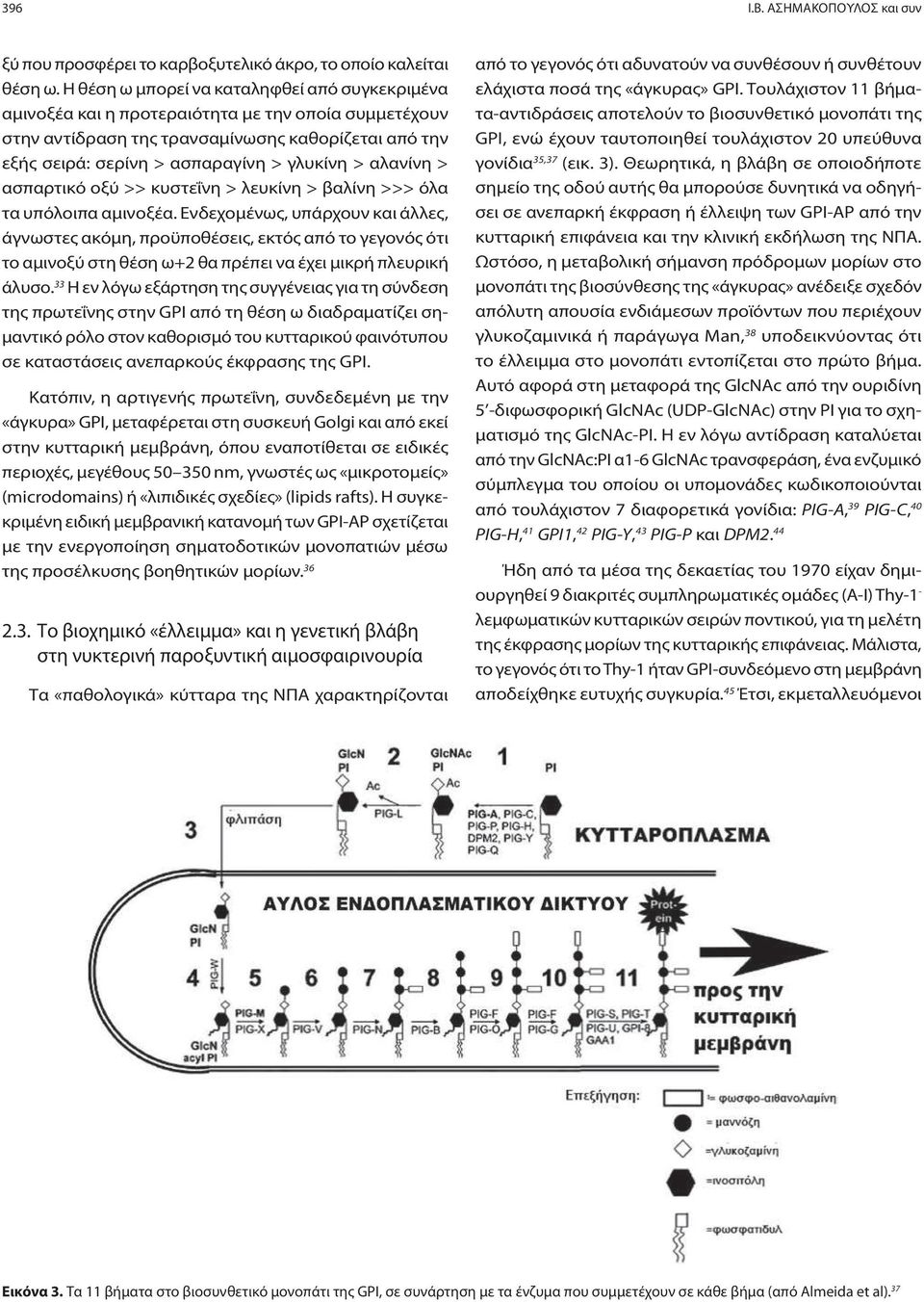 αλανίνη > ασπαρτικό οξύ >> κυστεΐνη > λευκίνη > βαλίνη >>> όλα τα υπόλοιπα αμινοξέα.