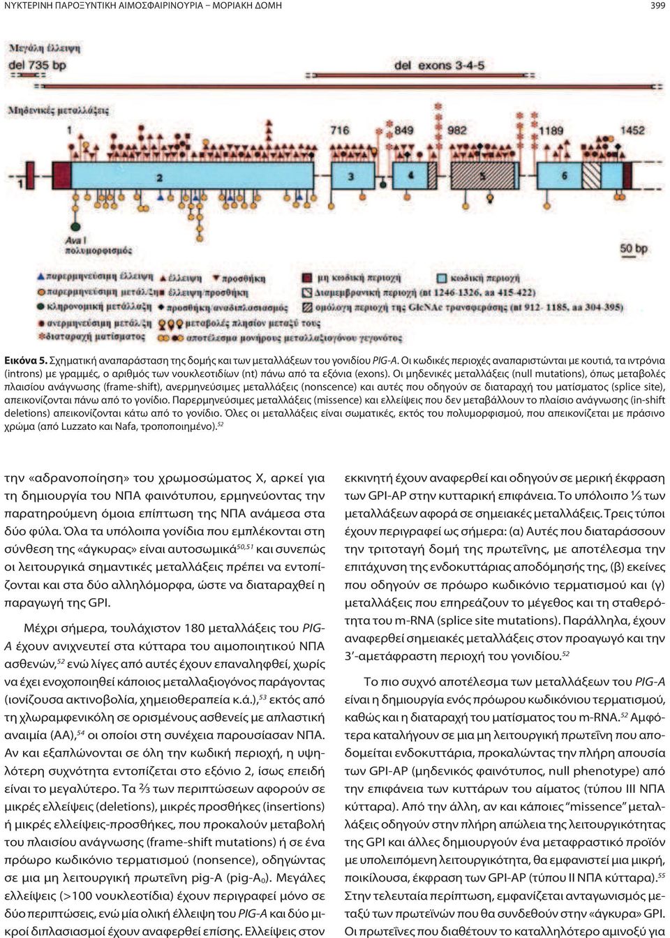 Οι μηδενικές μεταλλάξεις (null mutations), όπως μεταβολές πλαισίου ανάγνωσης (frame-shift), ανερμηνεύσιμες μεταλλάξεις (nonscence) και αυτές που οδηγούν σε διαταραχή του ματίσματος (splice site),