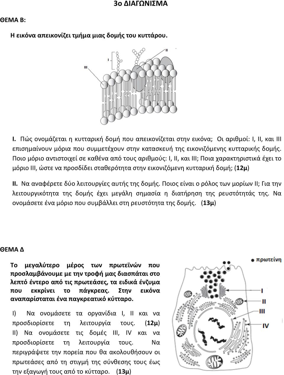 Ποιο μόριο αντιστοιχεί σε καθένα από τους αριθμούς: Ι, ΙΙ, και ΙΙΙ; Ποια χαρακτηριστικά έχει το μόριο ΙΙΙ, ώστε να προσδίδει σταθερότητα στην εικονιζόμενη κυτταρική δομή; (12μ) II.