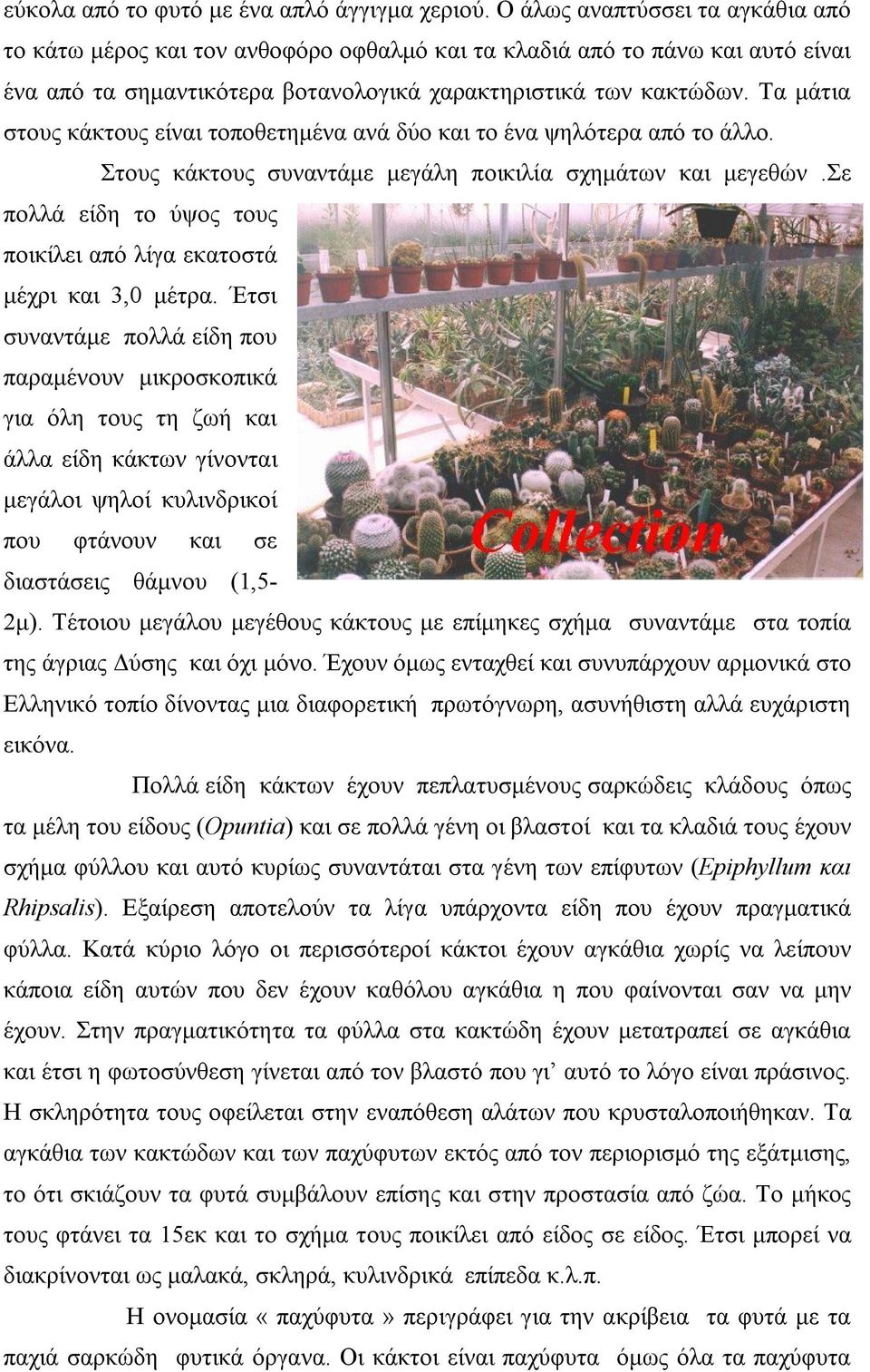 Τα μάτια στους κάκτους είναι τοποθετημένα ανά δύο και το ένα ψηλότερα από το άλλο. Στους κάκτους συναντάμε μεγάλη ποικιλία σχημάτων και μεγεθών.