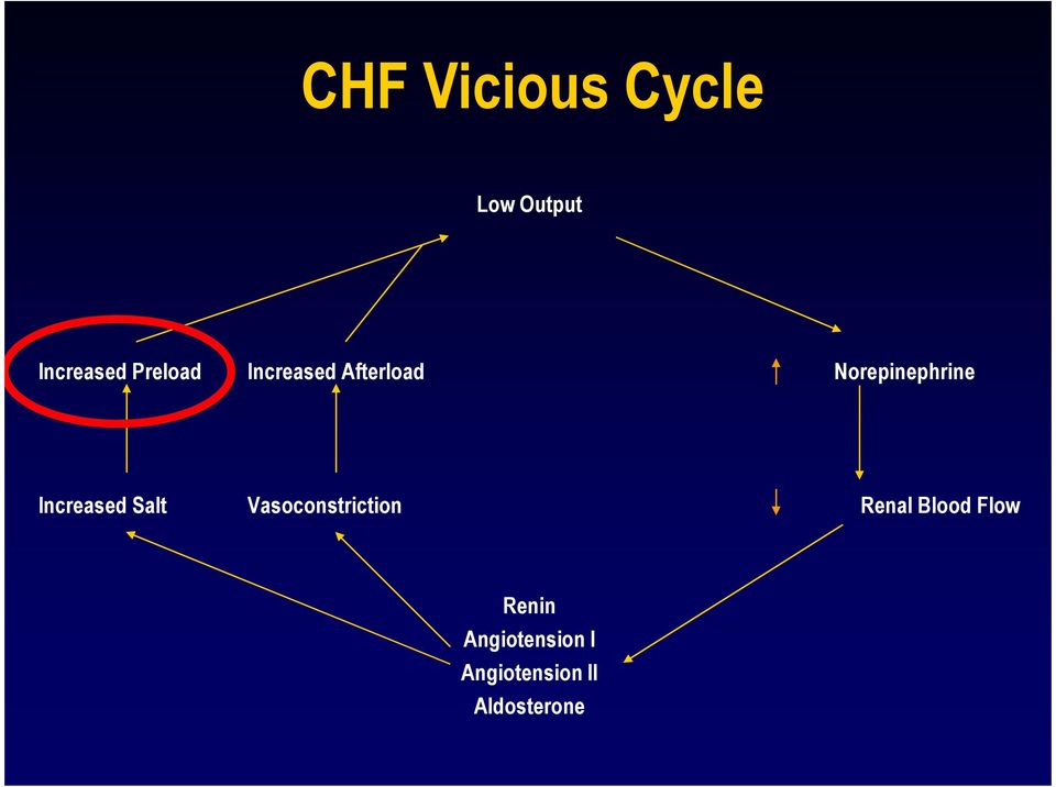 Increased Salt Vasoconstriction Renal Blood