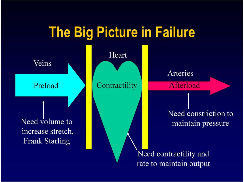 increase stretch, Frank Starling Need constriction to