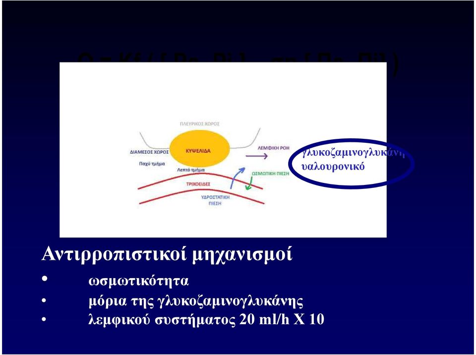 Αντιρροπιστικοί µηχανισµοί ωσµωτικότητα