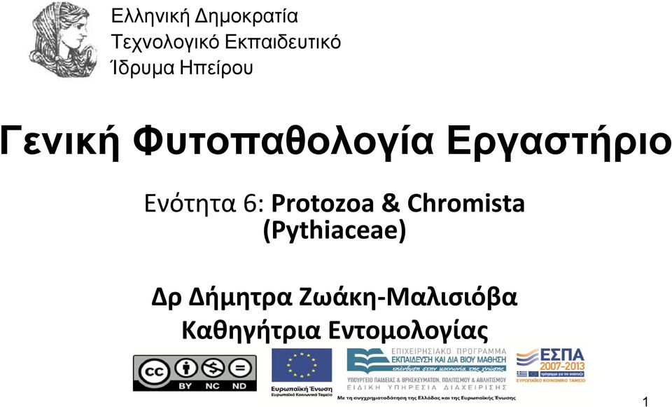 Ενότητα 6: Protozoa & Chromista (Pythiaceae)
