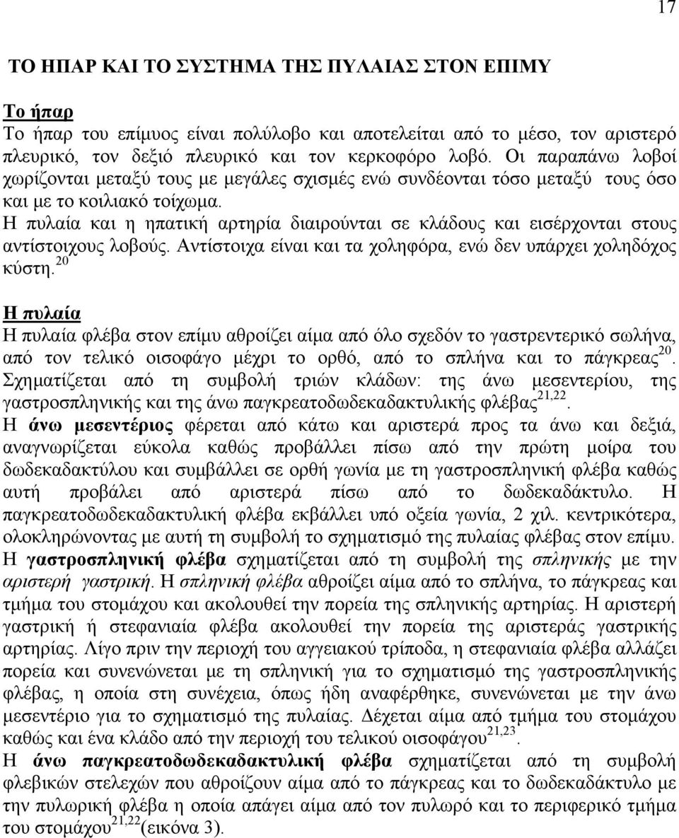Η πυλαία και η ηπατική αρτηρία διαιρούνται σε κλάδους και εισέρχονται στους αντίστοιχους λοβούς. Αντίστοιχα είναι και τα χοληφόρα, ενώ δεν υπάρχει χοληδόχος κύστη.