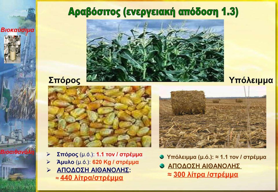 ): 620 Kg / στρέμμα ΑΠΟΔΟΣΗ ΑΙΘΑΝΟΛΗΣ: 440