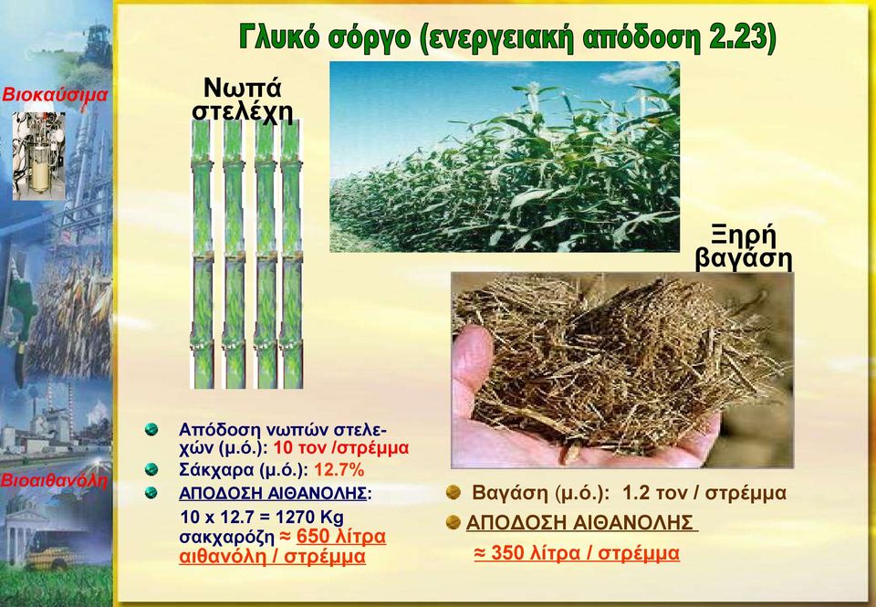 7 = 1270 Kg σακχαρόζη 650 λίτρα αιθανόλη / στρέμμα Βαγάση (μ.