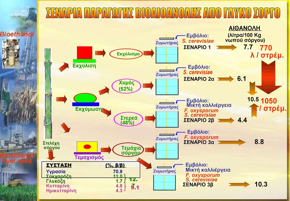 Σακχαρόζη Γλυκόζη Κυτταρίνη Ημικυτταρίνη Τεμάχια σόργου (%, β/β) 70.9 11.0 1.7 12. 7 4.8 9.1 4.3 Ζυμωτήρας S.