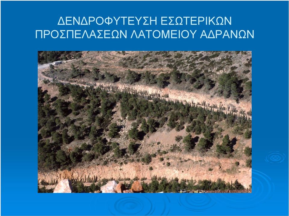 ΠΡΟΣΠΕΛΑΣΕΩΝ