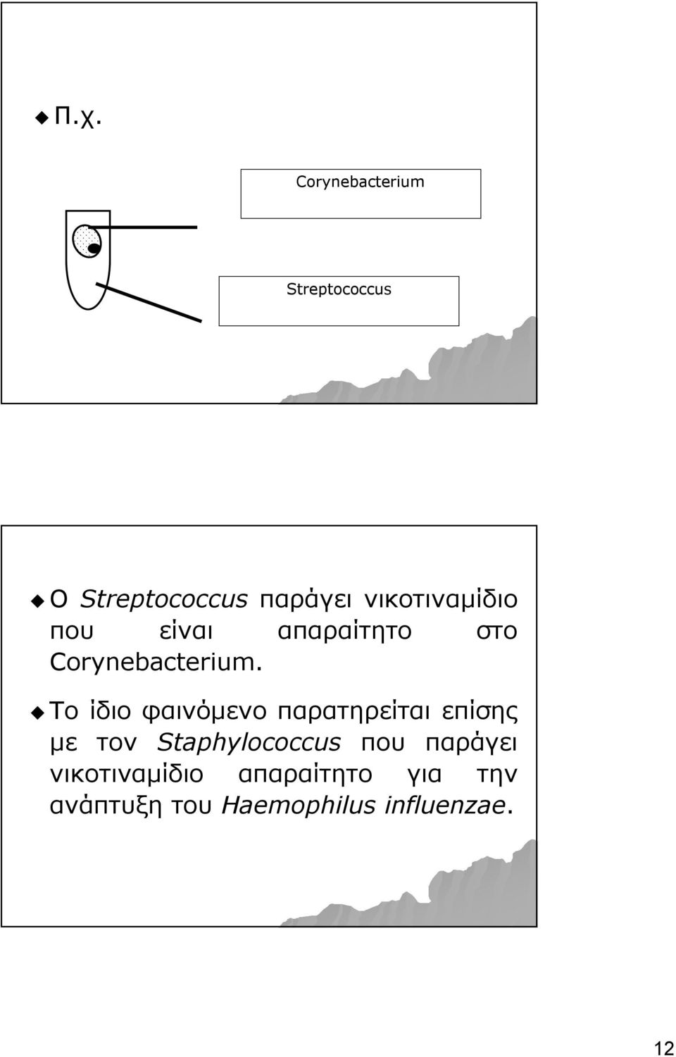 Το ίδιο φαινόμενο παρατηρείται επίσης με τον Staphylococcus που