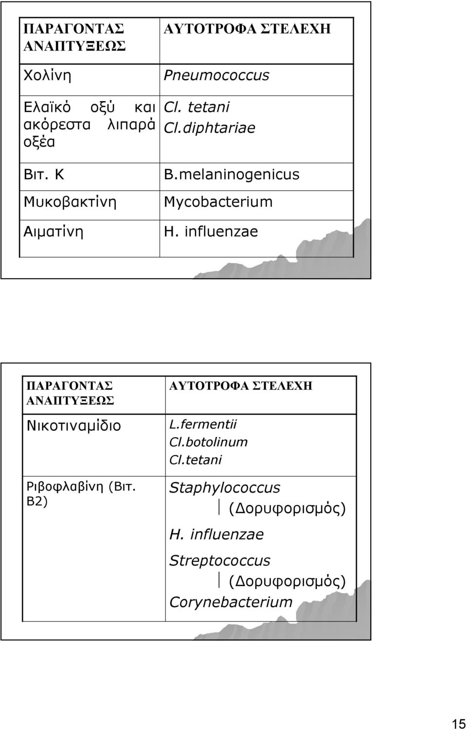 melaninogenicus Mycobacterium H. influenzae ΠΑΡΑΓΟΝΤΑΣ ΑΝΑΠΤΥΞΕΩΣ Νικοτιναμίδιο Ριβοφλαβίνη (Βιτ.