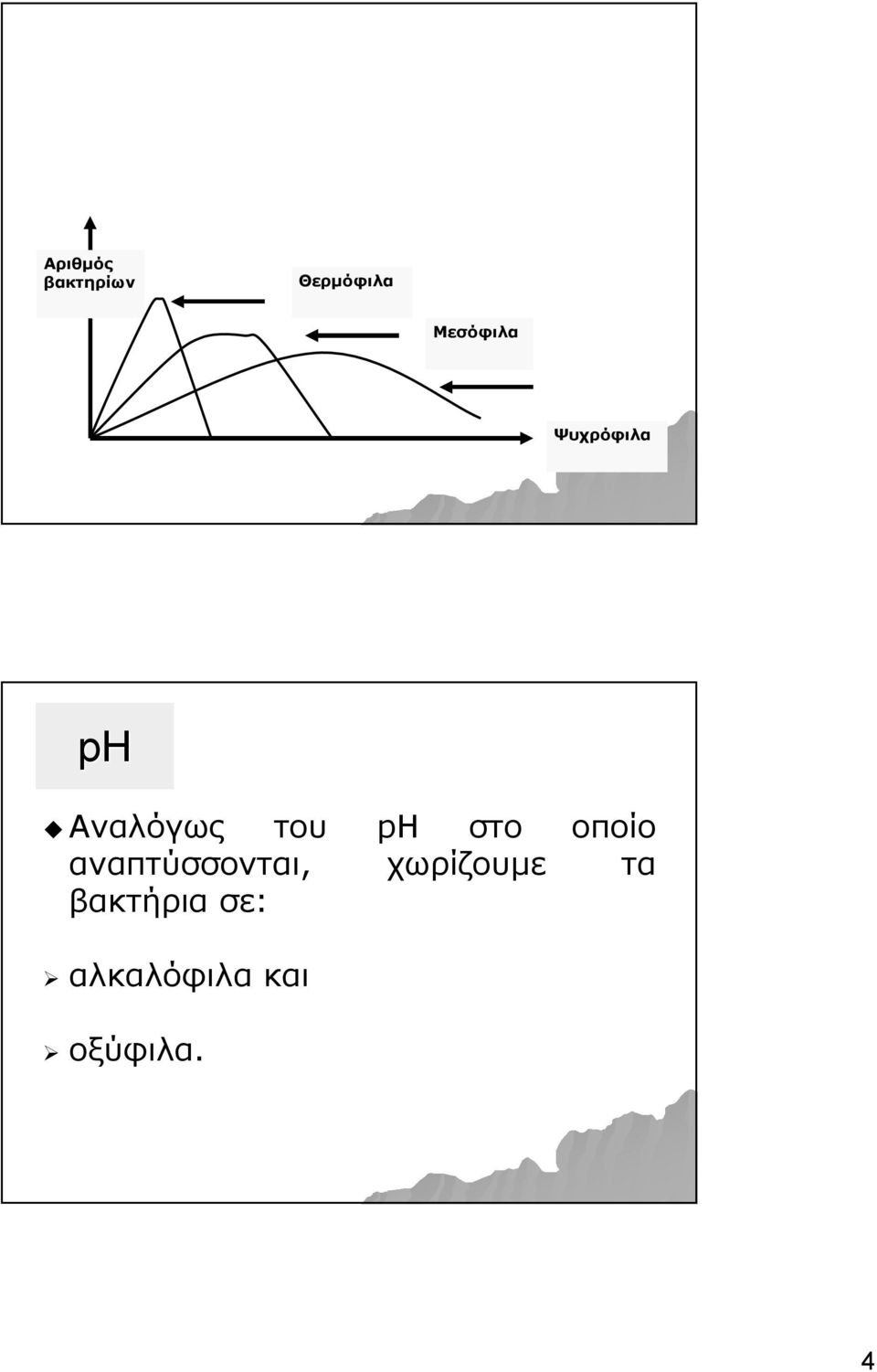 αναπτύσσονται, βακτήρια σε: