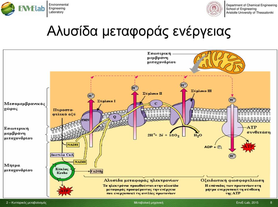 Αλυσίδα