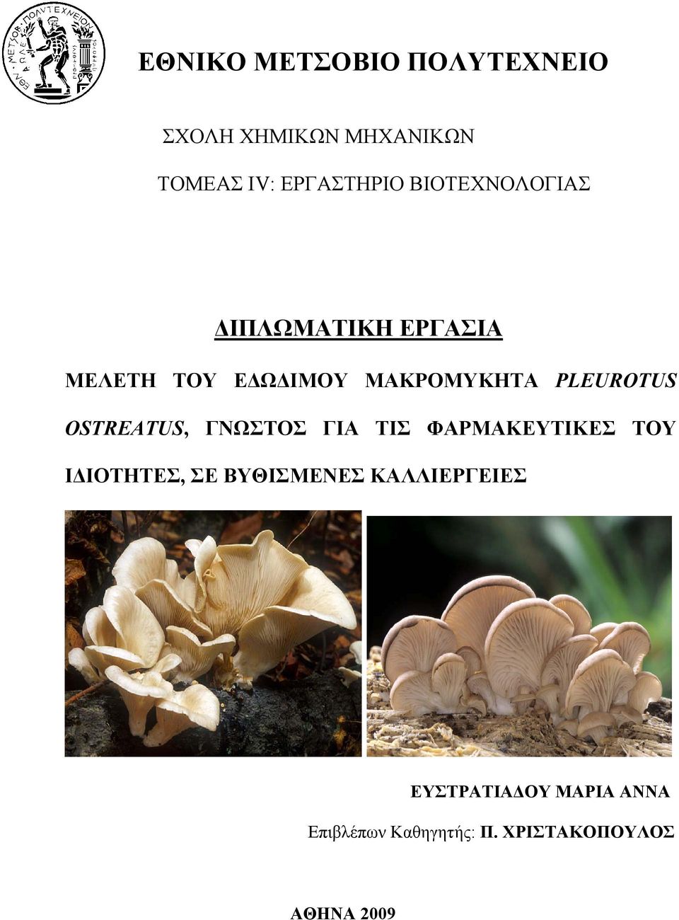 OSTREATUS, ΓΝΩΣΤΟΣ ΓΙΑ ΤΙΣ ΦΑΡΜΑΚΕΥΤΙΚΕΣ ΤΟΥ ΙΔΙΟΤΗΤΕΣ, ΣΕ ΒΥΘΙΣΜΕΝΕΣ
