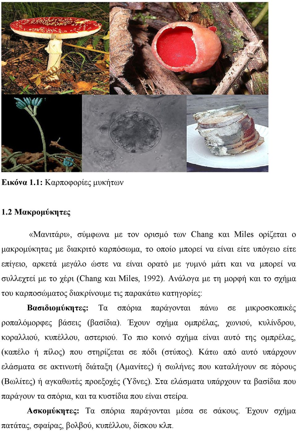 ορατό με γυμνό μάτι και να μπορεί να συλλεχτεί με το χέρι (Chang και Miles, 1992).