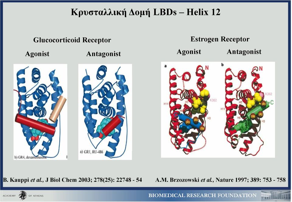 Antagonist B. Kauppi et al.