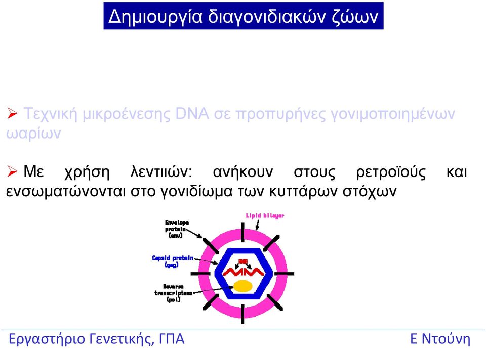 ωαρίων Με χρήση λεντιιών: ανήκουν στους