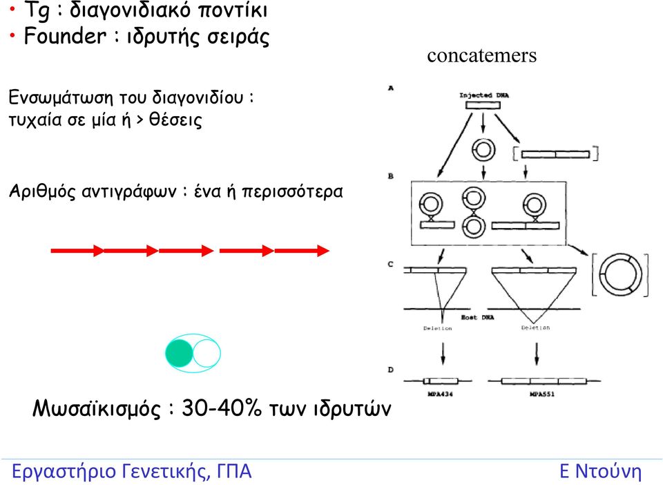 : τυχαία σε μία ή > θέσεις Αριθμός αντιγράφων